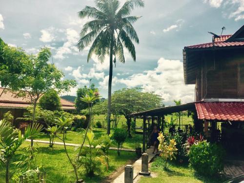 Soluna Guest House - Tap to explore photos