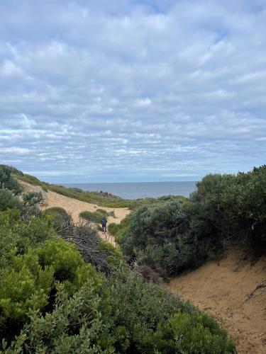 Coastal Court Blairgowrie-walk to Pearce beach via National Coastal Trail - Tap to explore photos