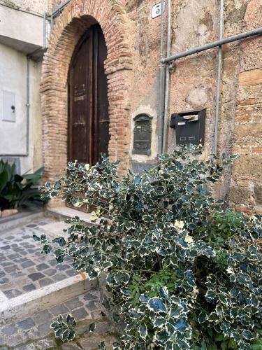 Via Camerina 3 Room Type - One-Bedroom Apartment Via Camerina 3 Room Type - One-Bedroom Apartment