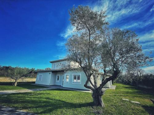 Guest House Montestallone