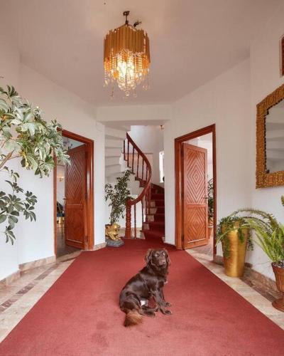 Ghost Villa Pokhara with mountain view 20mins from main area - Tap to explore photos