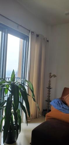 Luxury 32nd Floor 2 Bed-2 Bath Apartment with Pool, Harbour & Lotus Tower views - Tap to explore photos