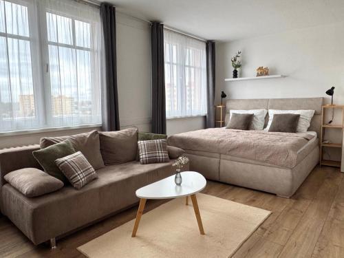 Smarty Choice Living with FREE PARKING - Vondroušova Room Type - One-Bedroom Apartment