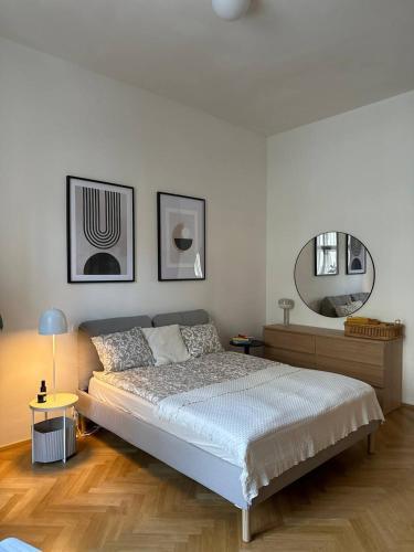 Spacious Elegance - A Central Gem Room Type - One-Bedroom Apartment