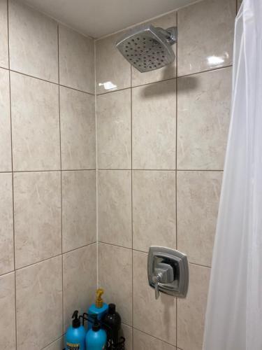 Beautiful Lower level 2 bedroom aprt - Tap to explore photos
