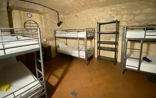 Alba Hostel Room Type - Bed in 8-Bed Mixed Dormitory Room