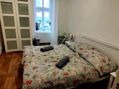 Nice one bedroom apartment in zizkov