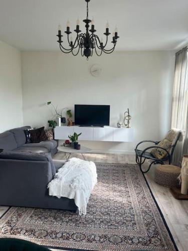 Cosy apartment near the city centre - Tap to explore photos