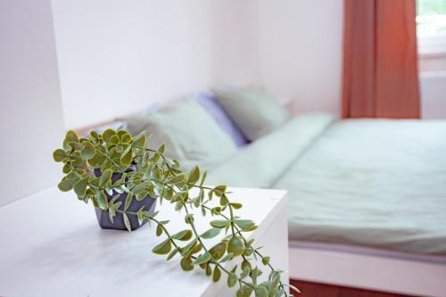 Elegance Apartments Room Type - Two-Bedroom Apartment