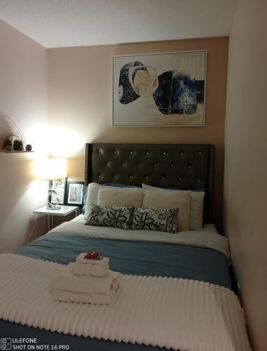 Downtown Toronto Condo Suite - Tap to explore photos