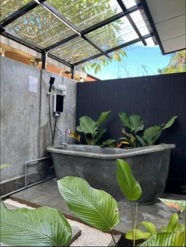 Mulan Guest House with Forest Bathtub - Tap to explore photos