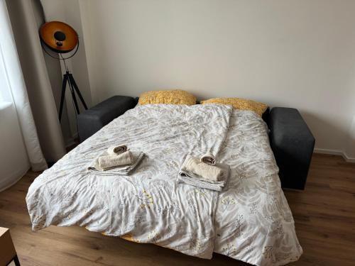 spacious flat near city center