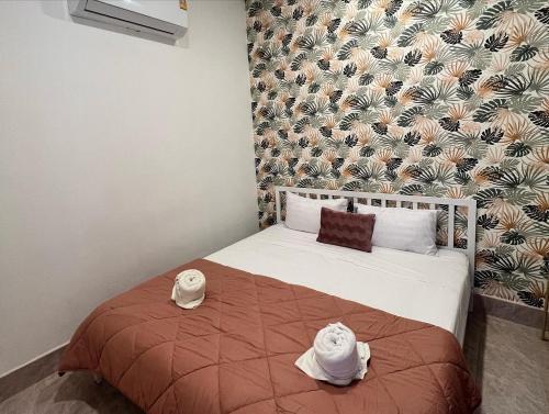 Casa Cactus Room Type - Standard Apartment