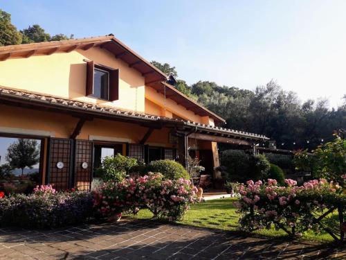 La Cerasa - vista Lago di Bracciano e giardino privato