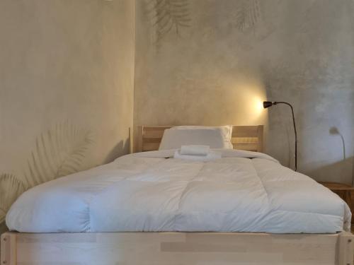 WIKI HOSTEL Colive - Adults Only & Pet Friendly Room Type - Superior Twin Room with Garden View WIKI HOSTEL Colive - Adults Only & Pet Friendly Room Type - Superior Twin Room with Garden View