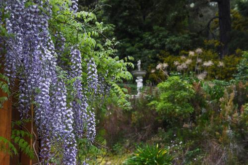 Yarra Ranges Country Apartment - Tap to explore photos