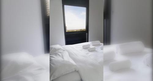 New Spacious 2 Bedroom With Gorgeous City Views - Tap to explore photos