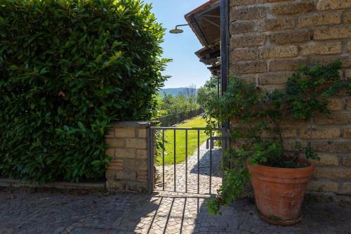 Olivetello - Tap to explore photos