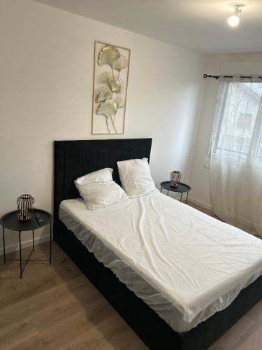 2 bedrooms proche Paris/CDG/Bourget/Parc des expo