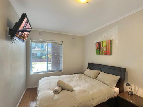 Ground floor one bedroom apartment in Elsternwick - Tap to explore photos
