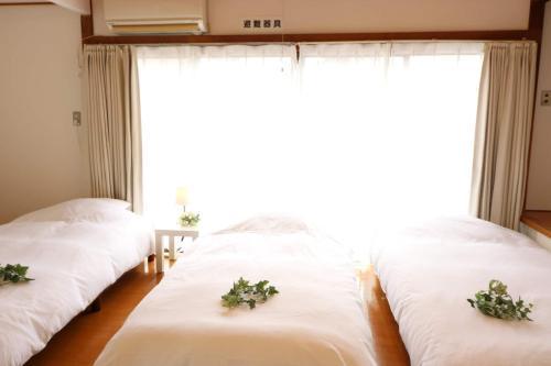 Senkawa CV House SC1