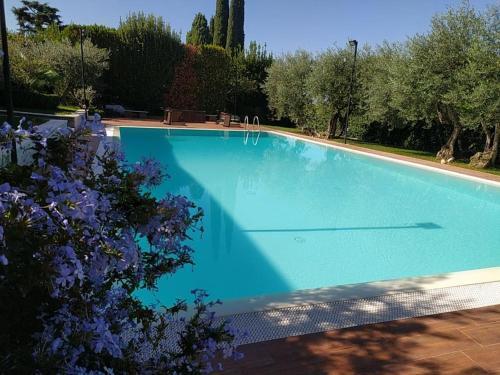 Visit Rome from a quiet place Frascati
