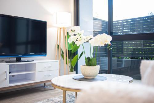 Burwood stunny apt with Parking Train&Shopping - Tap to explore photos