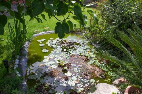 Happy Domus Wonderful Garden Villa Ninfea - Tap to explore photos