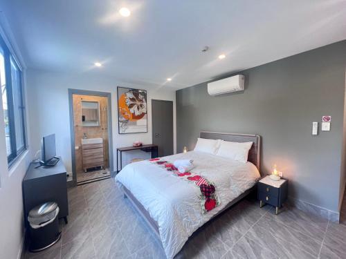 Brand New Furnished Studios - Tap to explore photos