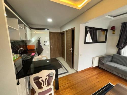 Spacious and Cozy Flat near Taksim Square no3 - Tap to explore photos