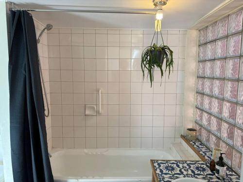 Artsy North Melbourne 2-Bedder - Tap to explore photos