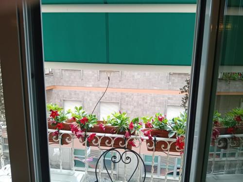Casita Jolanda