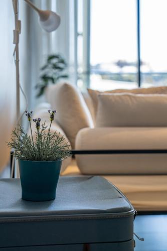 Absolute Waterfront Retreat in Barangaroo! - Tap to explore photos