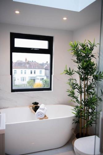 Stylish Skylight Room in a Luxury House - Tap to explore photos