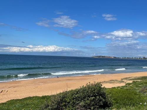 Albemarle on the Beach - Tap to explore photos