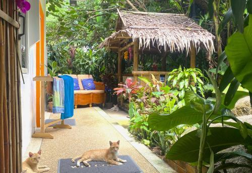 Oasis HONEYMOON Garden Suite - Tap to explore photos
