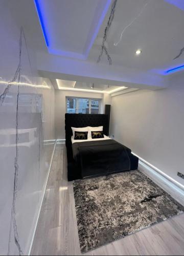 Luxury 2 bedroom apartment overlooking Harrods Knightsbridge - Tap to explore photos