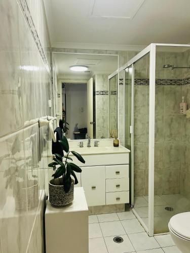 Private room in shared house in Pyrmont - Tap to explore photos