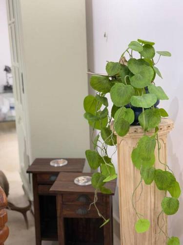 Artistic Private Studio, Parramatta - Tap to explore photos
