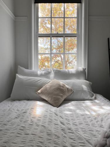 Boutique Apartment in Darlinghurst
