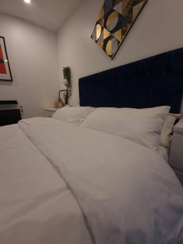 Cozy Modern London Flat in Angel Islington - Tap to explore photos