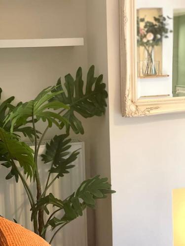Private garden flat Stroud Green Finsbury park - Tap to explore photos