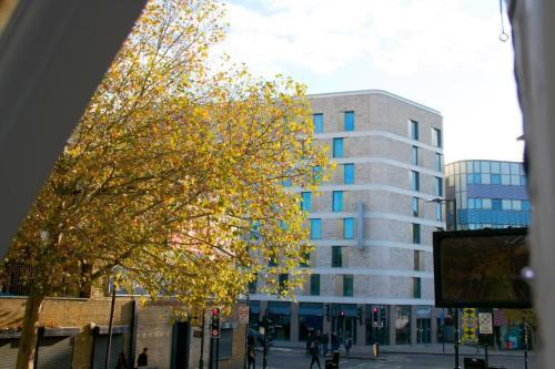 Stylish Cosy 1 Bedroom Flat