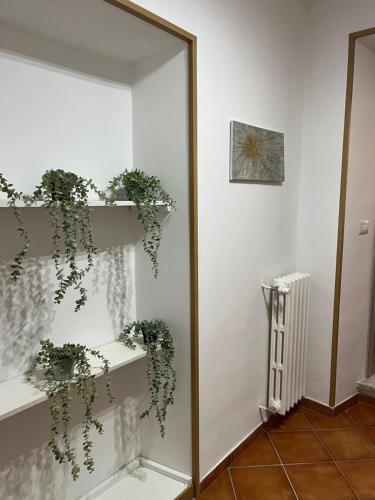 Casa sulla Rocca Room Type - Three-Bedroom Apartment Casa sulla Rocca Room Type - Three-Bedroom Apartment