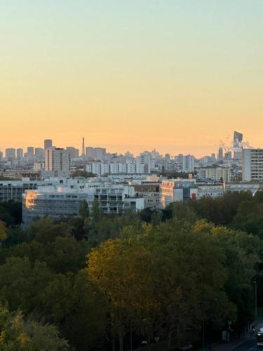 Joli appartement vue tour Eiffel de loin