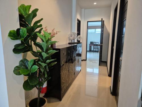 Oxygen Condominium Bangtao - Tap to explore photos