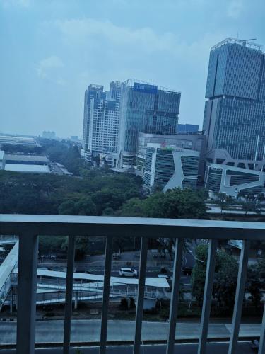 Studio Pleasant Tifolia