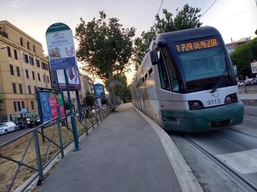 Domus green Room Type - Two-Bedroom Apartment Domus green Room Type - Two-Bedroom Apartment