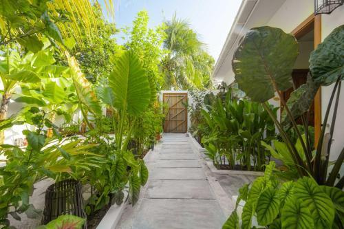 Oasis Dhigurah - Tap to explore photos