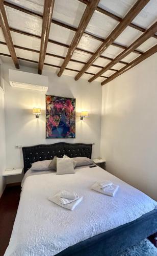 Babuino Luxury Apartment - Piazza di Spagna